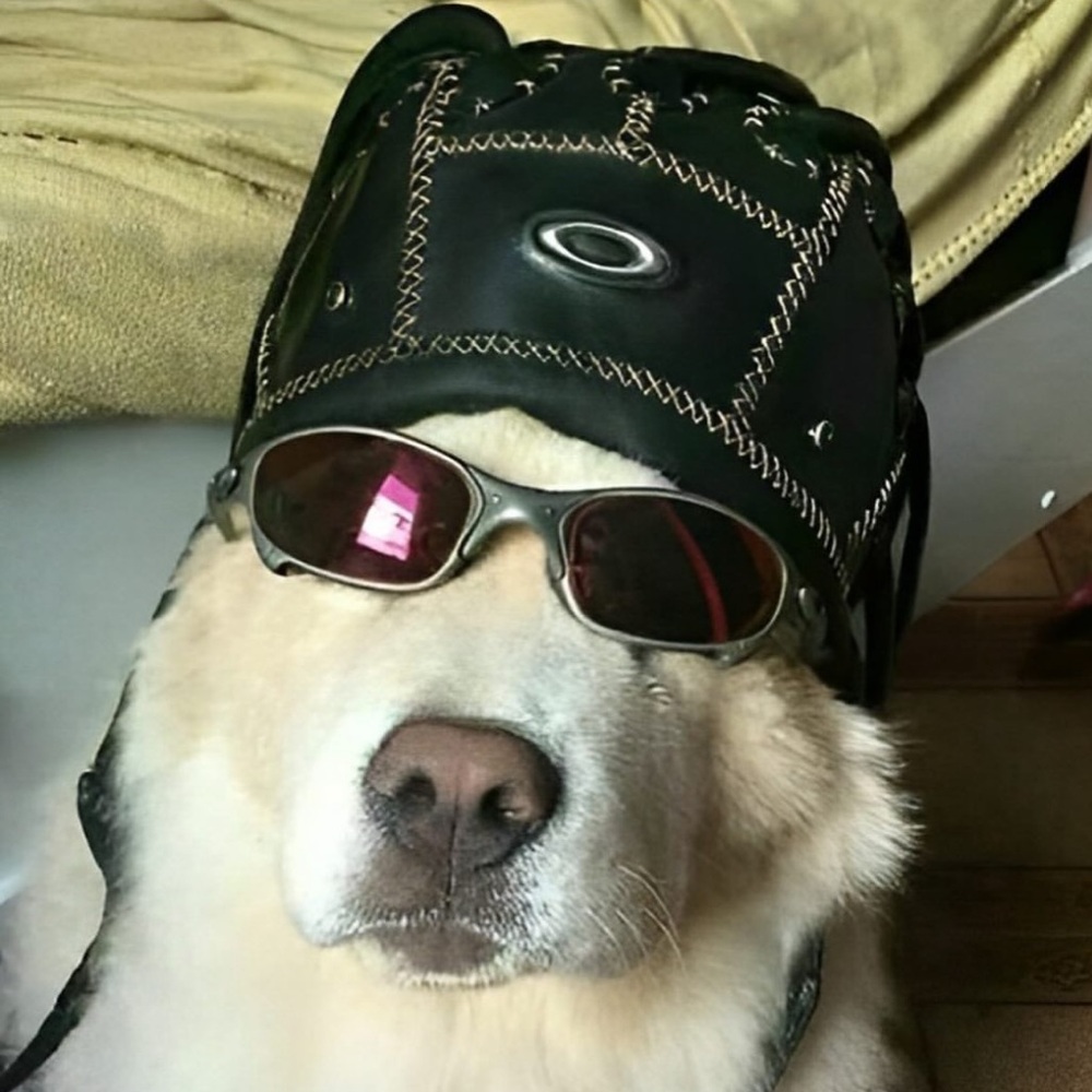 Meet your Posher, Jordy